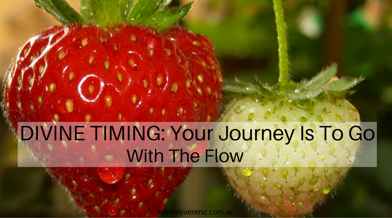 Divine Timing: Your Journey is to go with the Flow