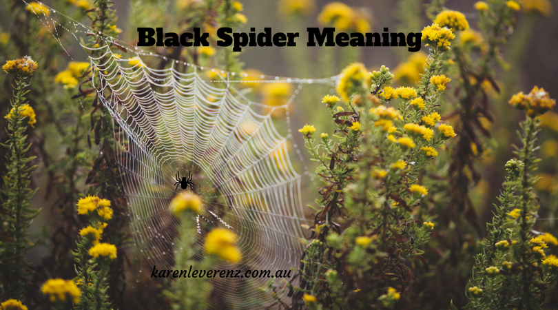 Black Spider Meaning