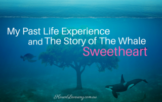 Story of Whale Sweetheart